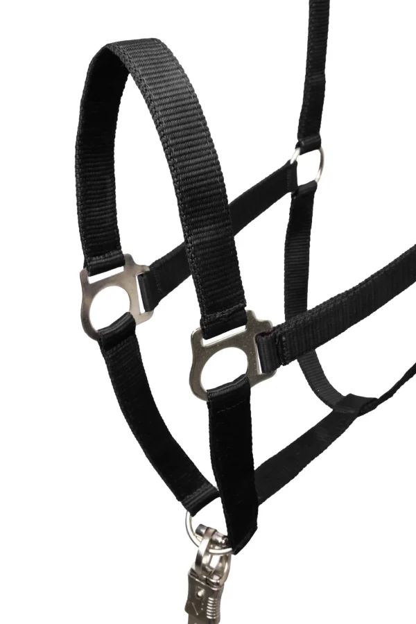 Horze Basic Halter & Panic Hook Lead