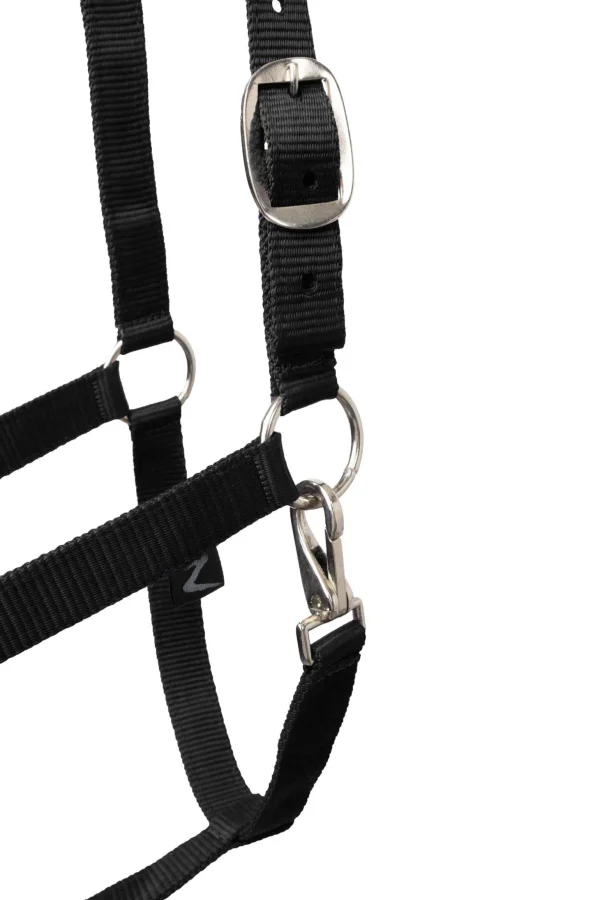 Horze Basic Halter & Panic Hook Lead