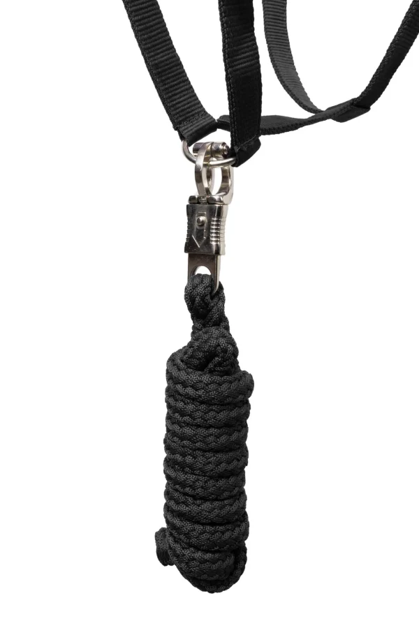 Horze Basic Halter & Panic Hook Lead