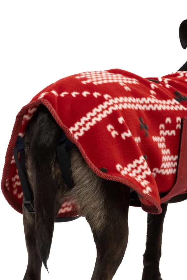 Horze Christmas dog sweater