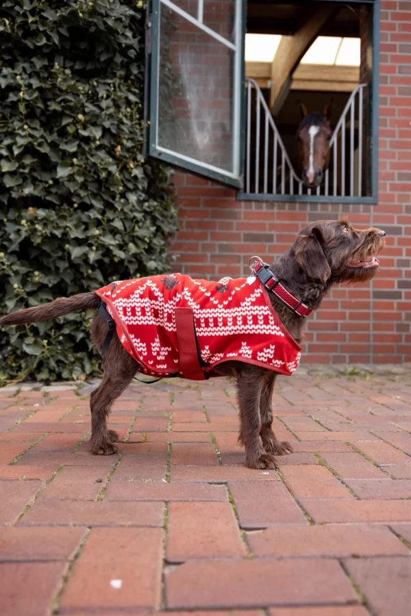 Horze Christmas dog sweater