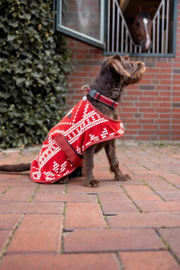 Horze Christmas dog sweater