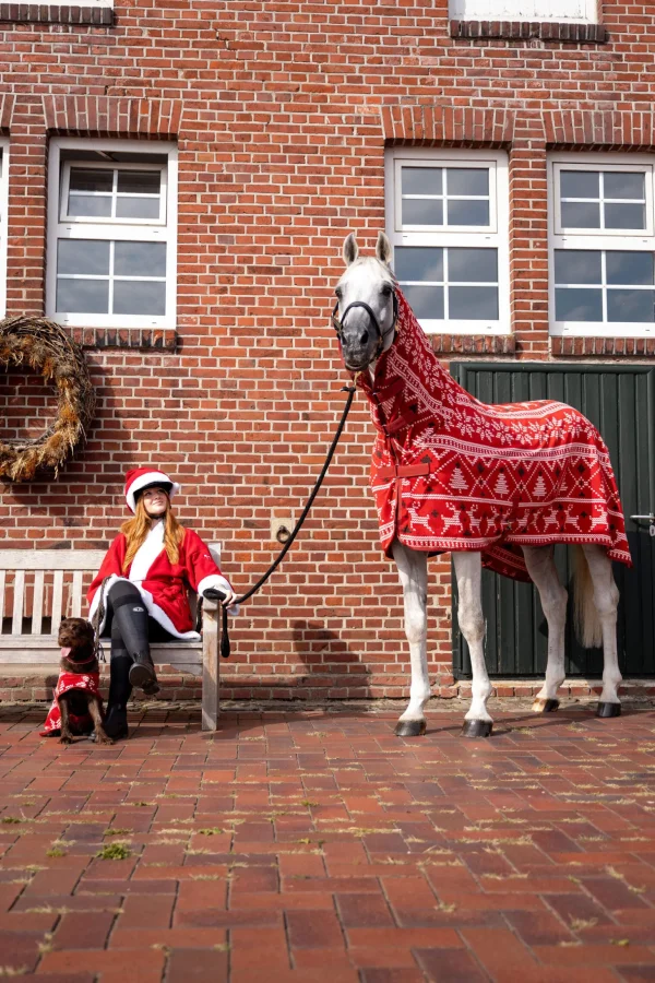 Horze Christmas Horse Sweater