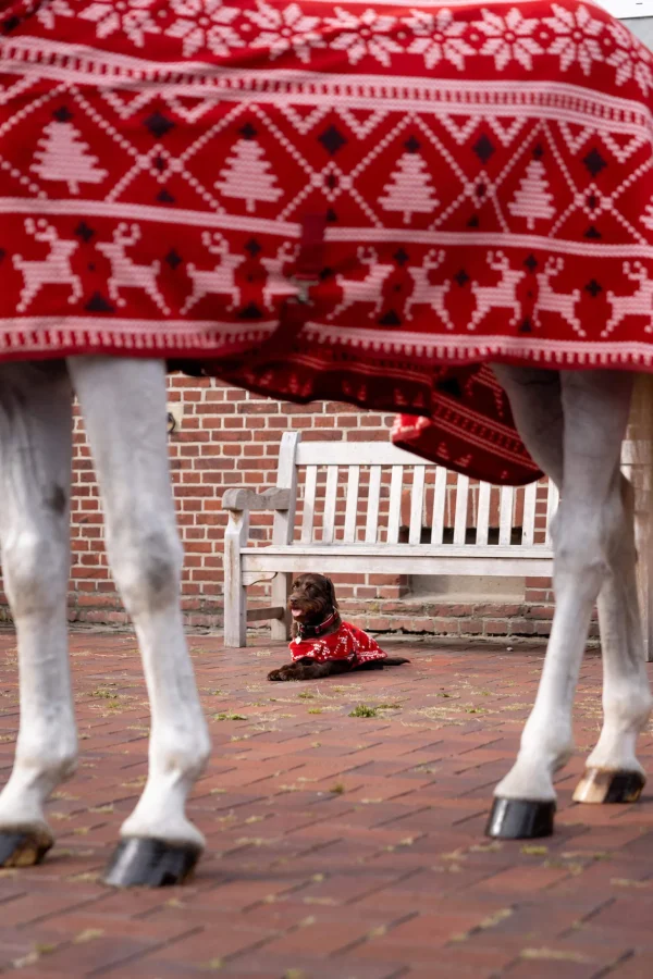 Horze Christmas Horse Sweater