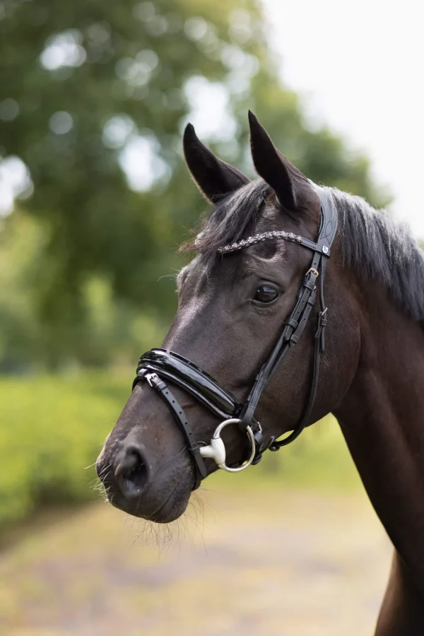 Horze Clermont Anatomic Bridle