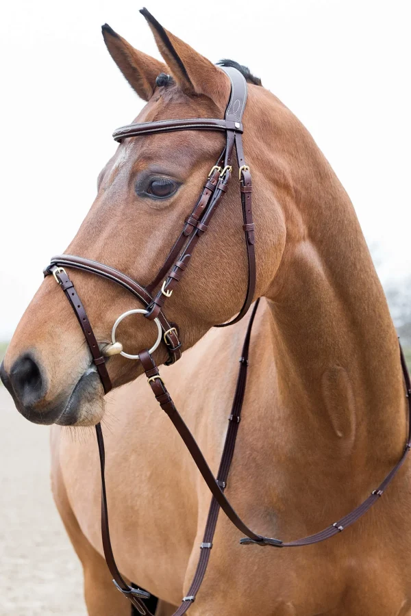 Horze Constance Padded Flash Bridle