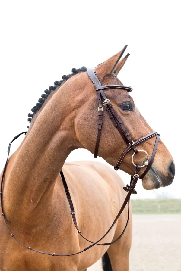 Horze Constance Padded Flash Bridle