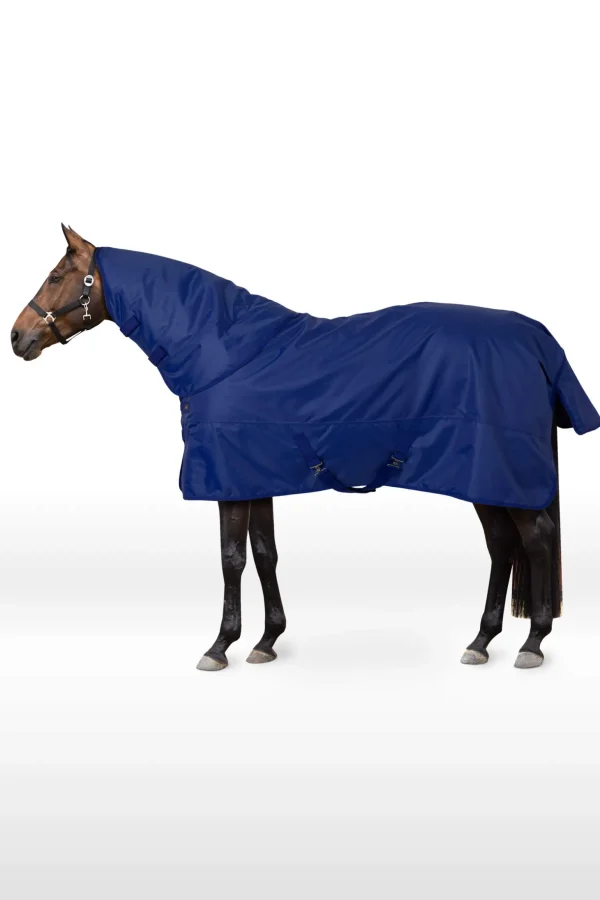 Horze 840D Turnout Rug with Detach Neck, 200g