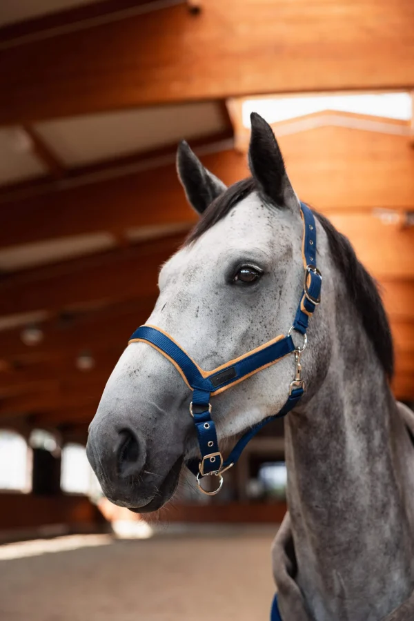 Horze Delémont Shaped Halter