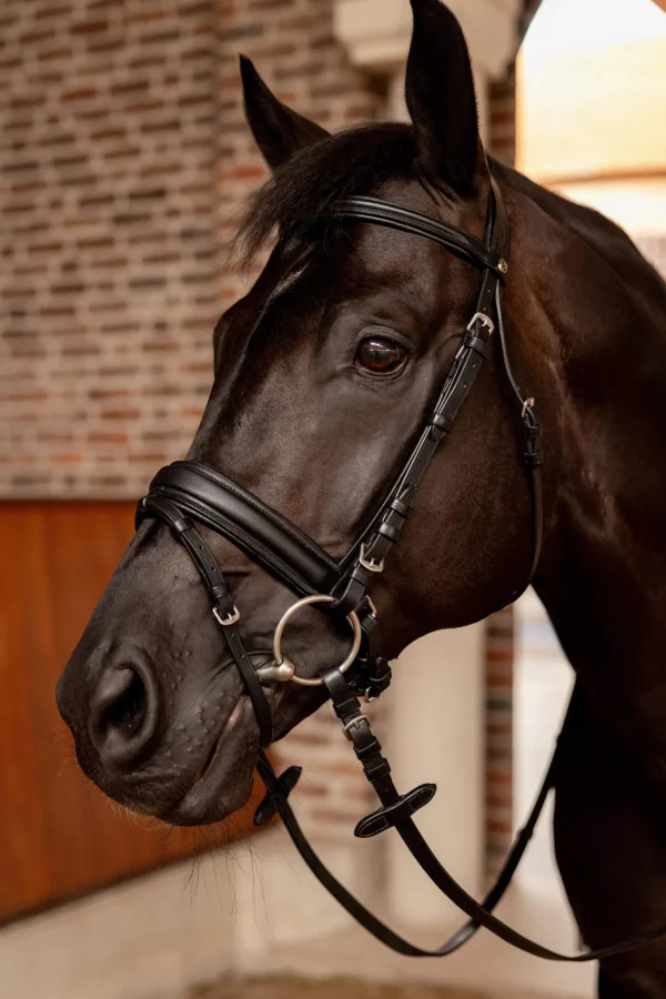 Horze Eternal Gaze Dressage Bridle