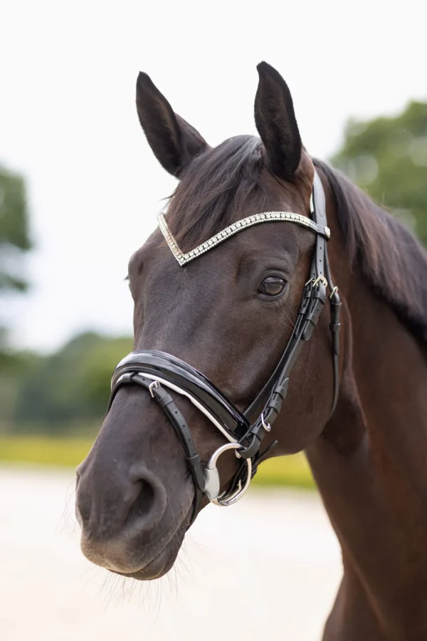 Horze Grayson Anatomic Snaffle Bridle