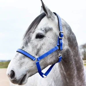 Horze Halter with Lining