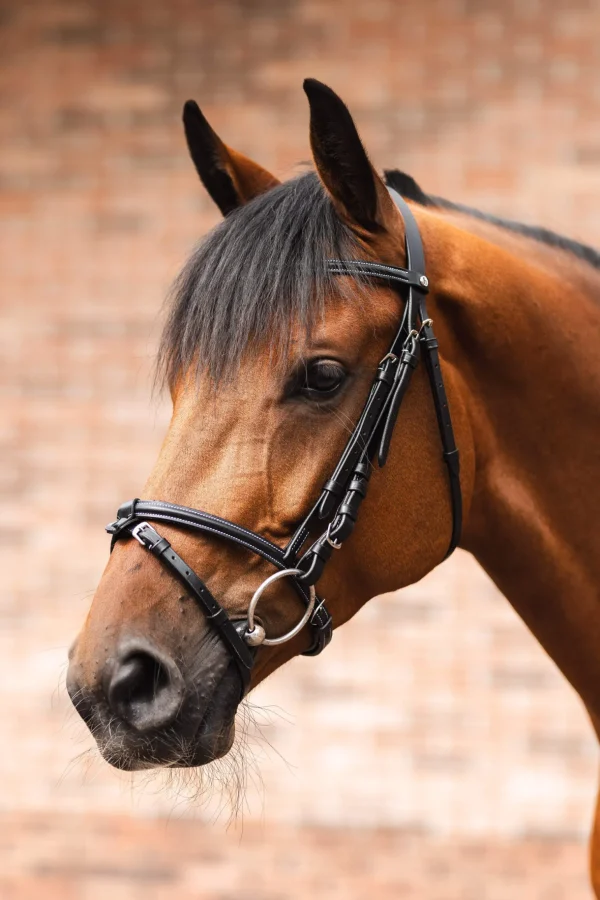 Horze Ice Water Bridle