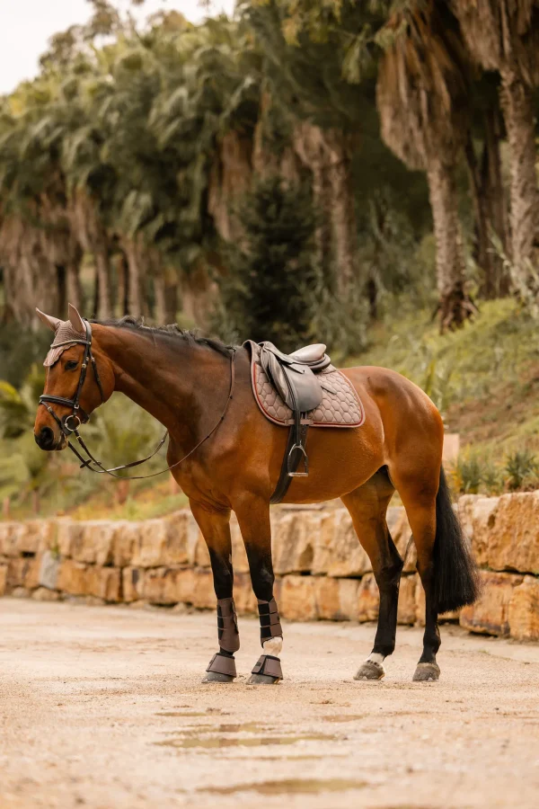 Horze Kenya All Purpose Saddle Pad