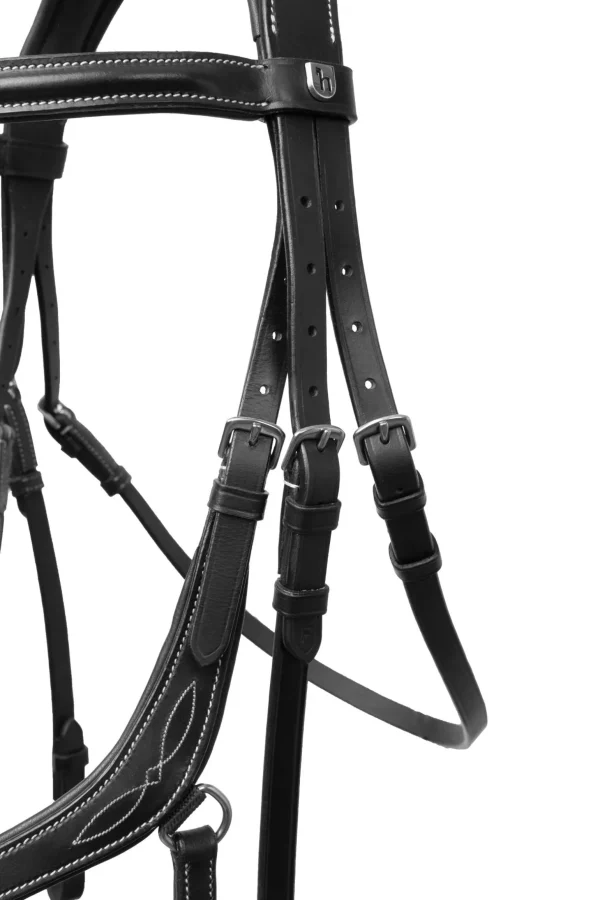 Horze Monterrey Grackle Bridle