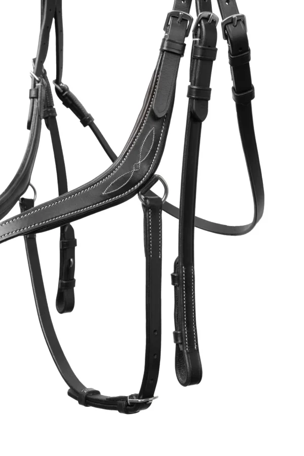 Horze Monterrey Grackle Bridle