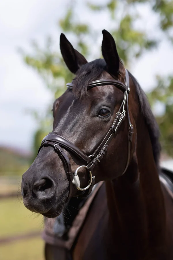 Horze Nature Made Leisure Bridle