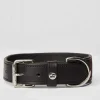 Horze Noir Dog Collar with Stars