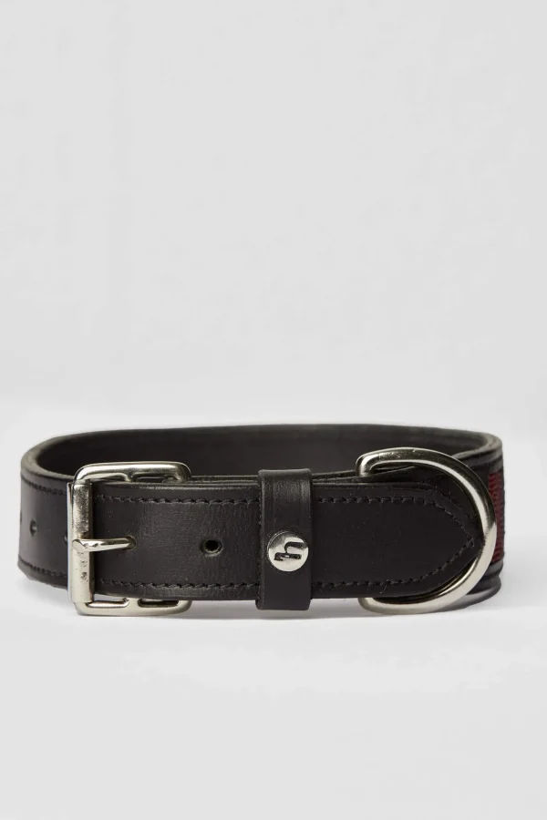 Horze Noir Dog Collar with Stars