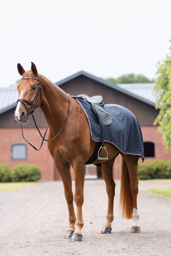 Horze Physical Sophistication Riding Rug