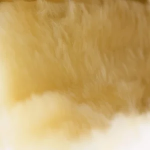 Horze Signature Brushing Boots