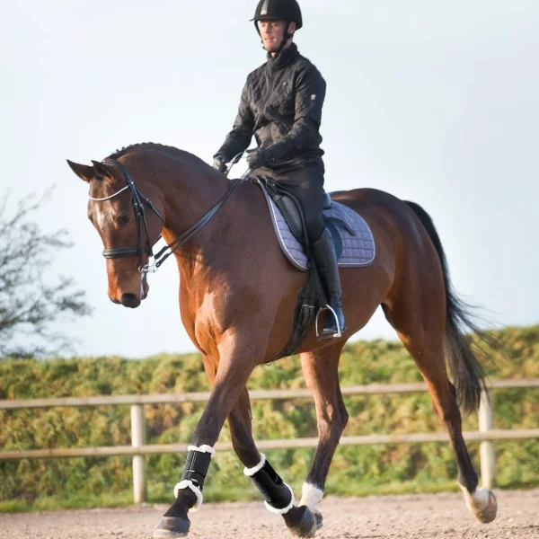 Horze Signature Brushing Boots