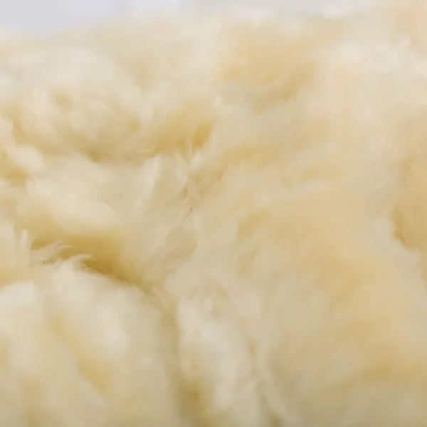 Horze Signature Brushing Boots