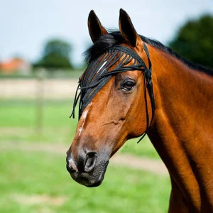 Horze Simple Fly Fringe  Veil