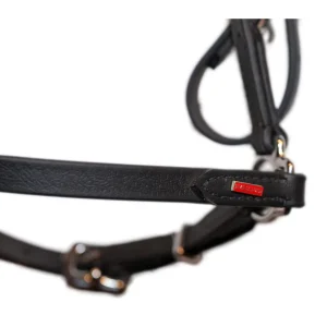 Karlslund BioThane bridle