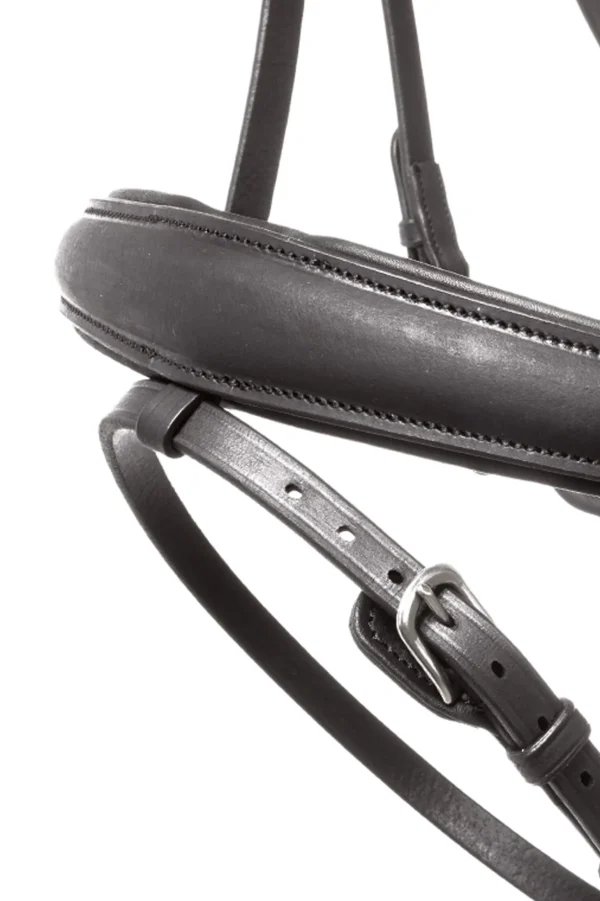 Kavalkade Bridle Everlyn crank nb-flash