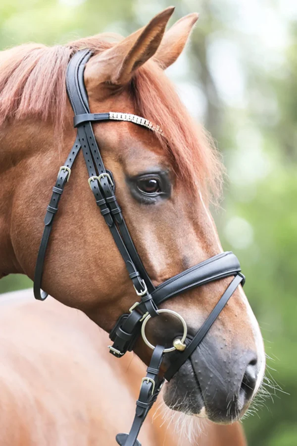 Kavalkade Bridle Everlyn crank nb-flash