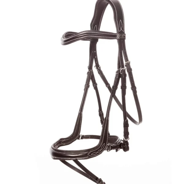 Kavalkade Bridle Ivy IR