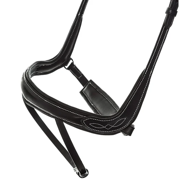 Kavalkade Bridle Ivy, noseband w/ flash