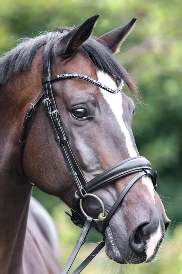 Kavalkade Bridle Ocean crank nb. with flash