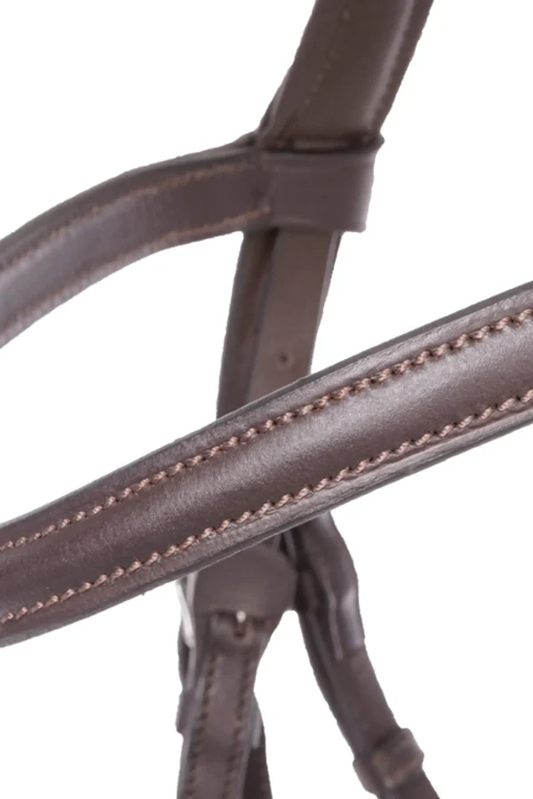 Kavalkade Bridle Quentin Ecoline, flash noseband