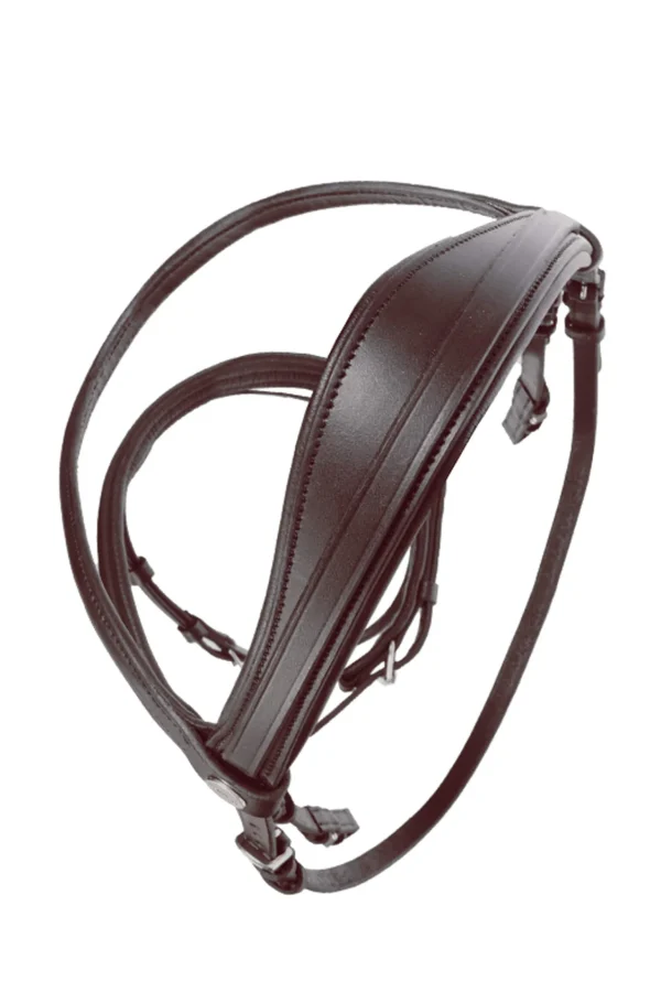 Kavalkade Bridle Quentin Ecoline, flash noseband