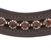 Kavalkade Browband Crystal