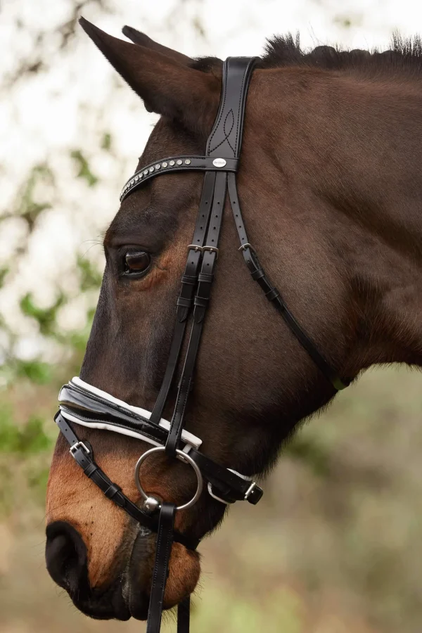 Kavalkade Charlotte Dressage Bridle Crank Noseband