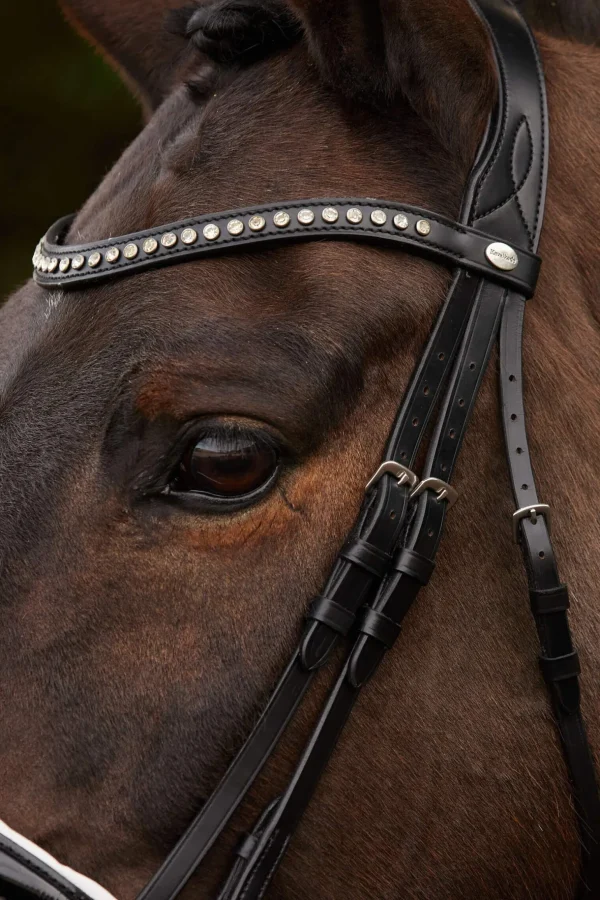 Kavalkade Charlotte Dressage Bridle Crank Noseband