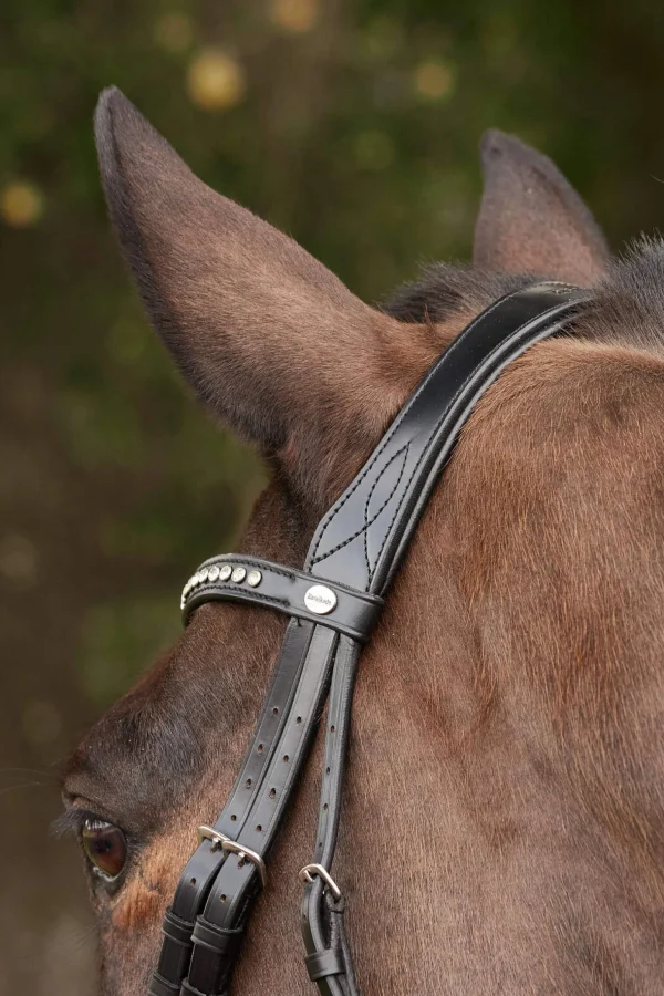 Kavalkade Charlotte Dressage Bridle Crank Noseband