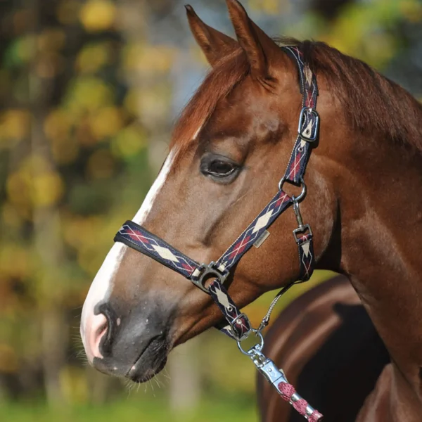 Kavalkade Classic Raute Halter