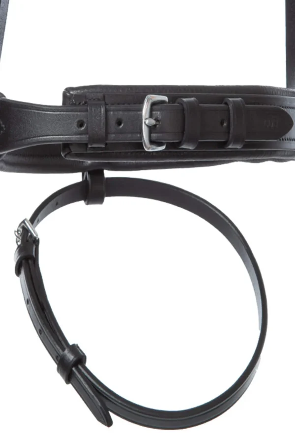 Kavalkade Clinchesse Bridle