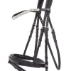 Kavalkade Everness Bridle