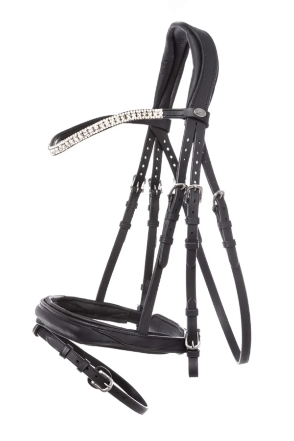 Kavalkade Everness Bridle