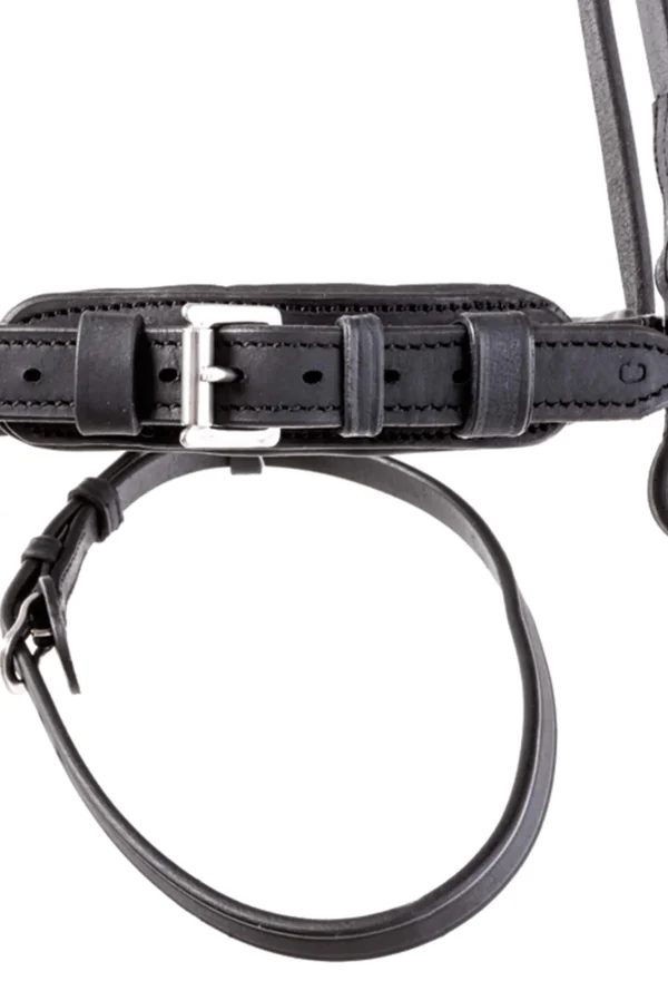 Kavalkade Everness Bridle