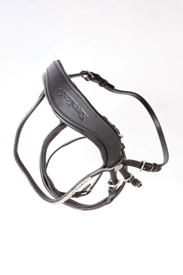 Kavalkade Everness Bridle