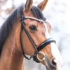 Kavalkade Florina KavalSH4 Bridle