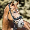 Kavalkade Ivella KavalSH4 Bridle