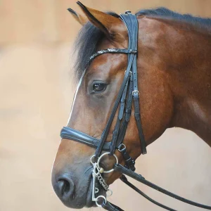 Kavalkade Ivonnne (Double) Bridle