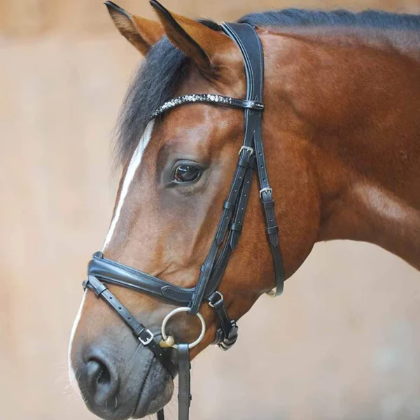 Kavalkade Ivonnne (Double) Bridle